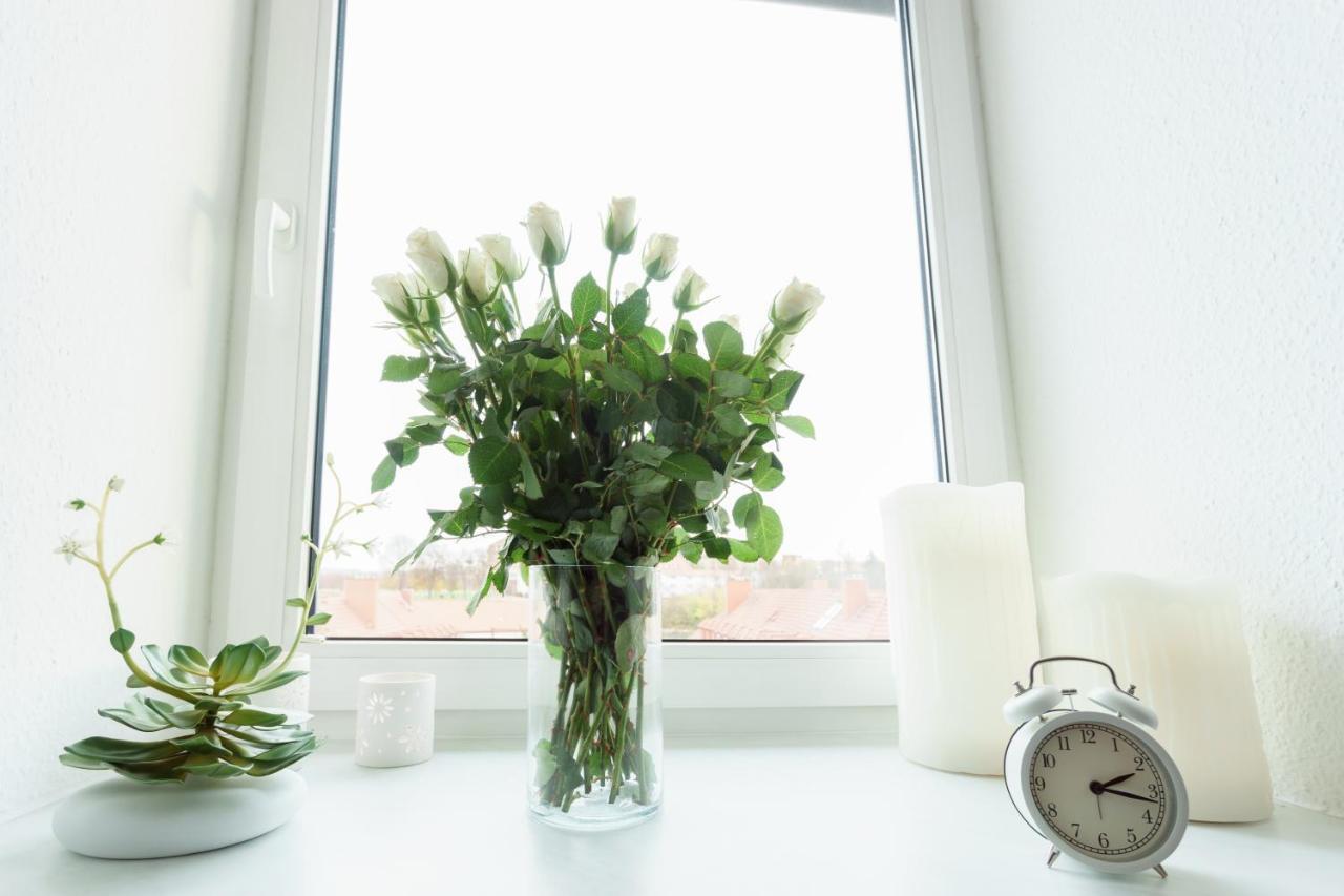 Apartment 3 Raum-wohnung Mit Blick Auf Zitadelle Petersberg - Direkt Am Buga-gelände 2021