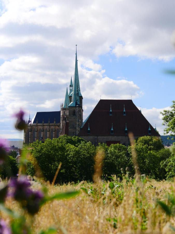Apartment 3 Raum-wohnung Mit Blick Auf Zitadelle Petersberg - Direkt Am Buga-gelände 2021 *
